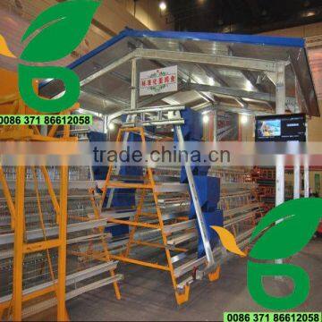 China factory manufacture chicken automatic feeder