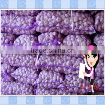 15g-50g Plastic Mash Bag photo-1