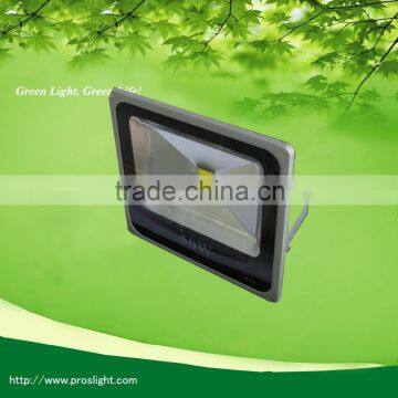 110 volt garden led flood light 30W