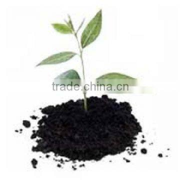 Coco Peat Bricks photo-2