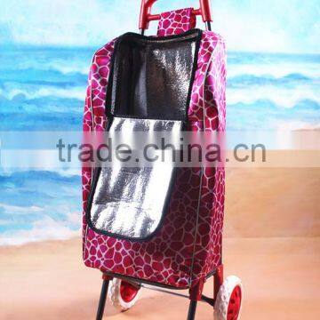 shopping luggage cart