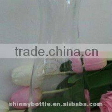 Glass Juice Jar,milk Bottle
