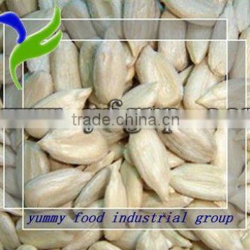 inner mongolia sunflower seed kernel