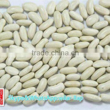 2014 new crop White Kidney Beans, long shape ; Kidney Bean (White / Red / Black)