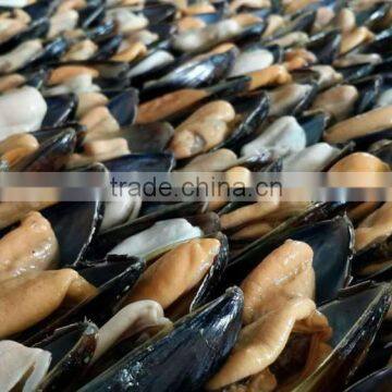 frozen mussel meat with half shell