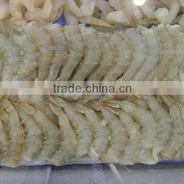 2012 frozen whole shrimp IQF