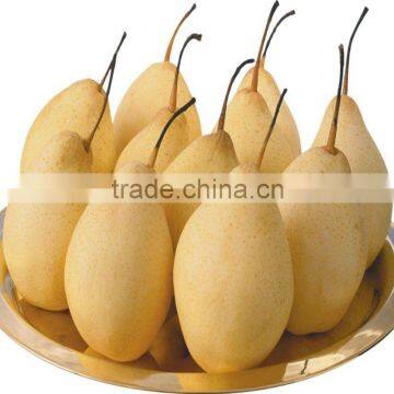10kg ya Pear