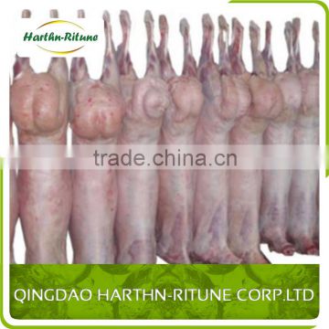 golden supplier frozen whole lamb carcass