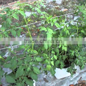 COCOPEAT GROW BAG IDEAL FOR GROWTH OF HYDROPONICS