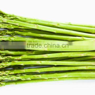 Frozen Asparagus photo-3