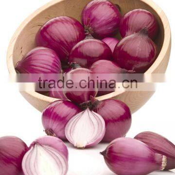 FX-128-3A High Efficiency Hot Sale Onion Peeling Peeler Machine photo-4