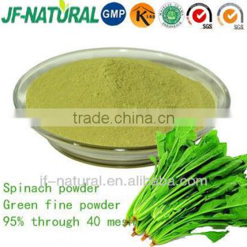 Spinach powder GMP KOSHER factory