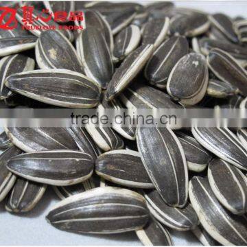 shelled Chinese Sunflower Seeds