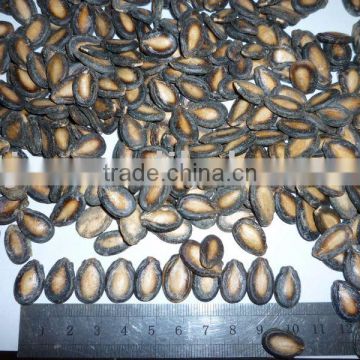 Black Watermelon Seeds