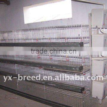 3-layer automatic egg layer chicken cage poultry farming