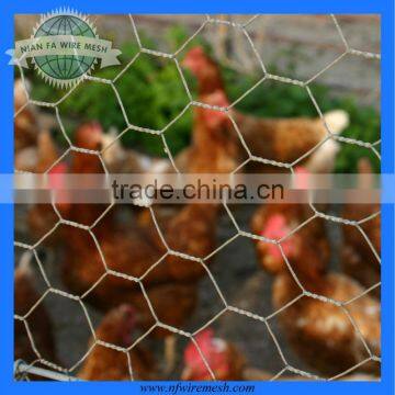 Chicken Wire Mesh/Hexagonal Mesh (Guangzhou Manufacturer)