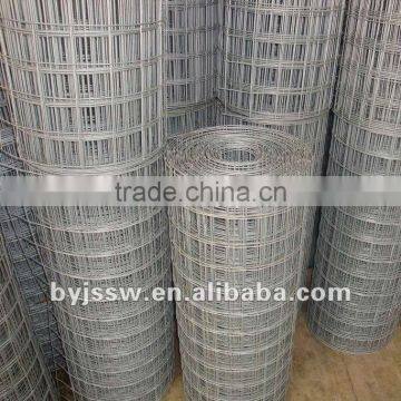 2x2 3x3 4x4 galvanized welded wire mesh