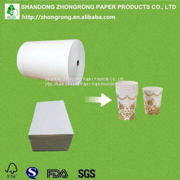 PE coated paper cup raw material in roll/sheet