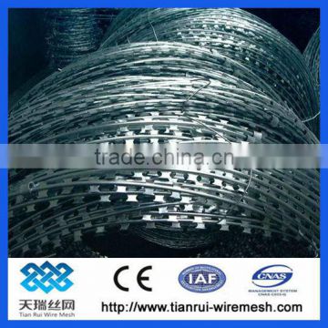 razor barbed wire/concertina wire for sale