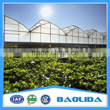 Cheap multi-span plastic greenhouse for fruits