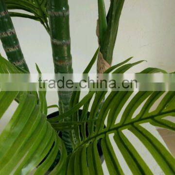 SJ300930 Fake Decorativeplastic Plam Plant Tree/Hawaii Kwai Tree Artifiical photo-6