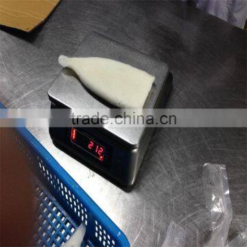 High Quality Pacific Squid Tube (Todarodes Pacificus) photo-6