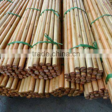1200mm x 22mm Varnished Wooden Mop Handle