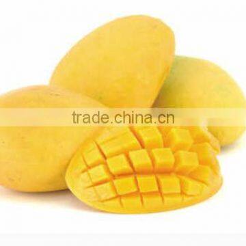 Mango Flavoured Fruits Drink Powder photo-2