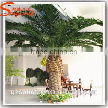 Plastic Date Palm Trees Prices Wedding Decorations Fake Large Plastic Tree and Plants Wholesale photo-5