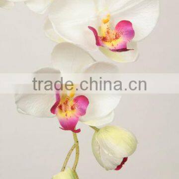 27536 cream pink color silk orchids