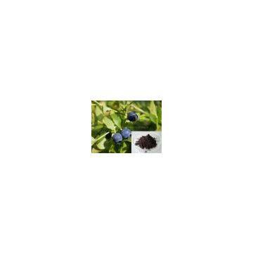 Bilberry Extract-Anthocyanidin