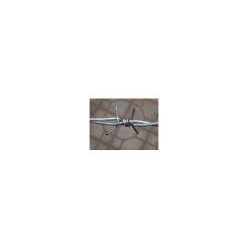 barbed wire