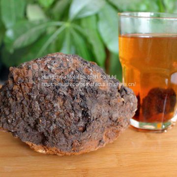 Chaga Mushroom Extract