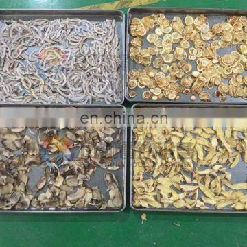 Industrial Turmeric Drying Machine, Vegetable and Fruit Drying Equipment photo-5