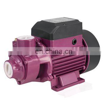 Housing small cheap 220v 230v 1 hp surface domestic 50m head qb80 home water pump