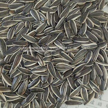 New Crop Sunflower Seed of Type 601 photo-5