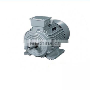 Cast Iron Frame Three Phase Electric AC Induction Motor