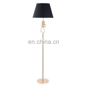 Modern Style Metal Floor Lamp and Home Decorative Floor Lamp photo-2