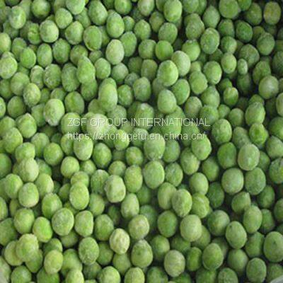 Frozen  IQF frozen green peas