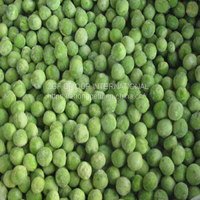 Frozen IQF Frozen Green Peas
