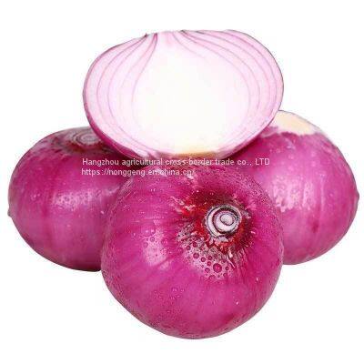Fresh Onion photo-4