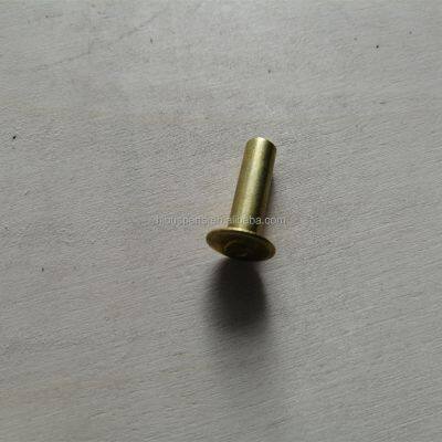 High Quality Chinese Bus Body Parts 8x24mm-100pcs Brake Shoe Rivet Aluminum photo-4