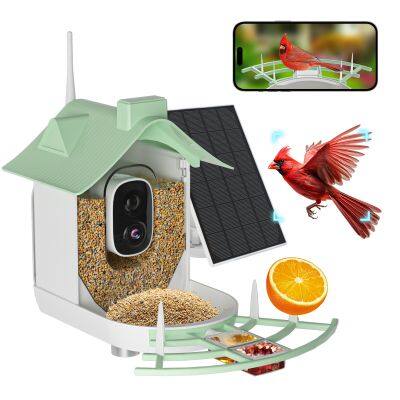 Ringsee solar-powered bird feeder smart wifi outdoor bird feeder 3MP bird feeder with camera
