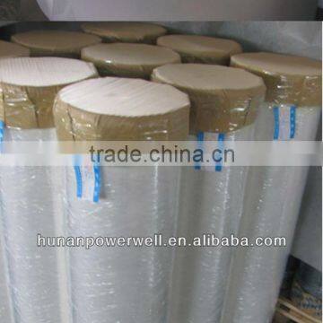 Motor slot liners film,mylar polyester film