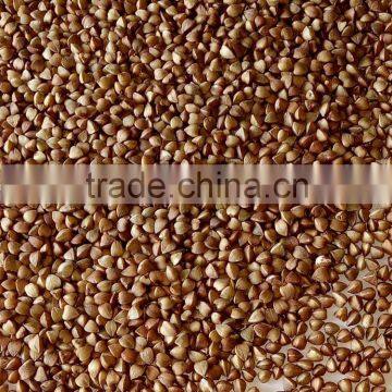 2015 Crop roasted hulled buckwheat