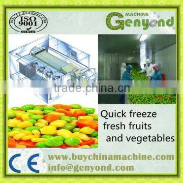 Frozen Shrimp Instant Freezer/meat/Seafood Iqf Machine Quality Choice