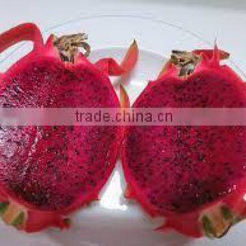 BEST QUALITY DRAGON FRUIT : RED AND WHITE KINDS