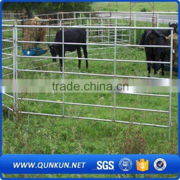 Australia Cattle Farm Equipment / Cheap Cattle Panels For Sale With Plastic Temporary Fence Block