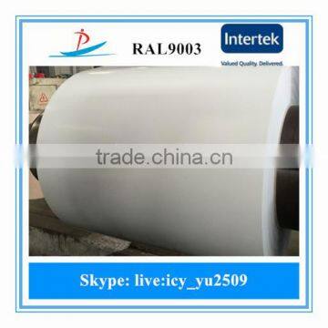 White color coated steel sheet in coil with high quality better price is very popular in Saudi Arabia