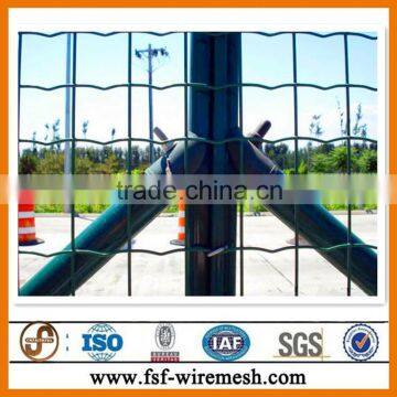 Holland Electric Welded Wire Mesh Hot Sale Have Stock photo-3